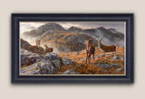 Framed print of red deer in the Scottish Mountains