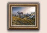 Bellowing Red Deer Stag - Bronze framed canvas print