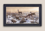 Framed trio of roe deer in snow - deer picture