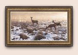 Bronze colour frame - Roe Deer in Early Winter