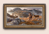 Rutting Red deer in the Scottish Highlands - Framed Print