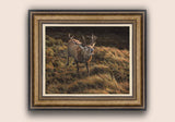 Bellowing Stag Painting - Bronze Framed Print