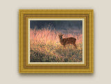 framed roe buck