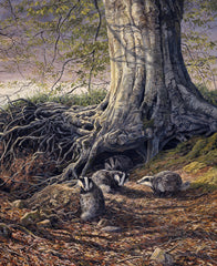 "Under the Roots" Badger Print