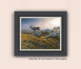 Framed picture of red deer stag roaring