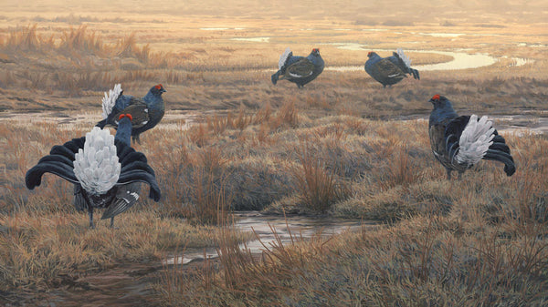 THE  GROUSE & THE BLACK GROUSE セット 5010314302504_1200x1200.jpg?v=