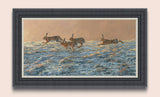 Chasing Brown Hares Framed Print