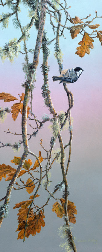 Coal tit bird art print