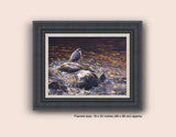 Picture of framed Dipper