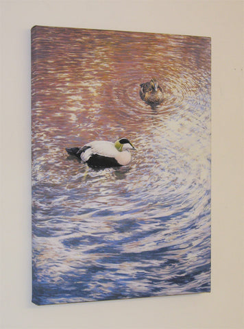 "Eider Ducks" Block Canvas Print