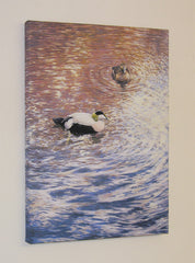 "Eider Ducks" Block Canvas Print