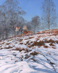 Pheasants in flight print