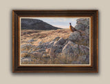 Framed pheasants on tumbled wall canvas print