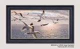 Framed Gannets Picture by Martin Ridley - Bird Prints