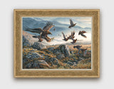 Framed Golden Eagle Print - Bird of prey picture