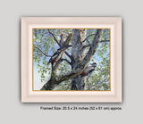 Framed picture of woodpecker family