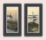 Framed pair of water bird prints