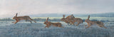 Frosty Morning Chasing Brown Hares Triptych