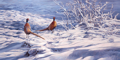 "The Stand-off" Pheasants in Snow Print