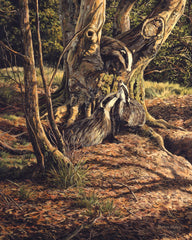 Badgers playing print for sale - from an oil painting by Martin Ridley