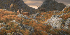 Amongst the Crags, Red Deer artwork