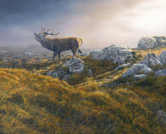Roaring red stag artwork