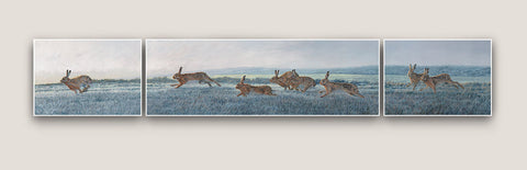 Frosty Morning Chasing Brown Hares Triptych