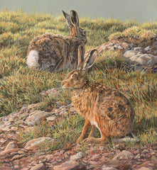 "Spring  Brown Hares" Brown Hares Print