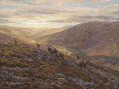 Creag nan Gabhar Red Deer Stag Picture