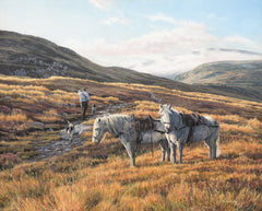 Highland Garrons - Stalking Ponies Print by Martin Ridley