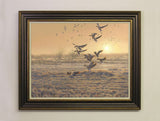 Framed pink-footed geese picture for sale