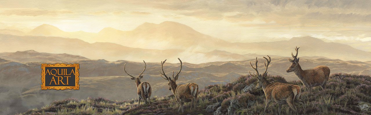 Aquila Art