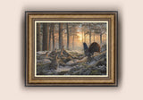 Bronze framed print of Capercaillie in a Caledonian Pine Forest