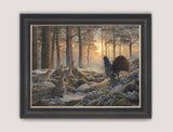 Framed picture of capercaillies in winter sunrise
