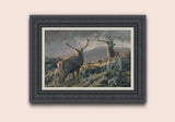 Small framed canvas print of red deer stag royals.