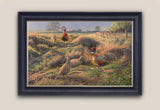 Framed picture of pheasants in spring landscape