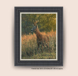 Roe buck in summer grasses - painting by Martin Ridley - Gold Medal Roe Buck