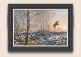 Woodcock Flying Through Evening Birches