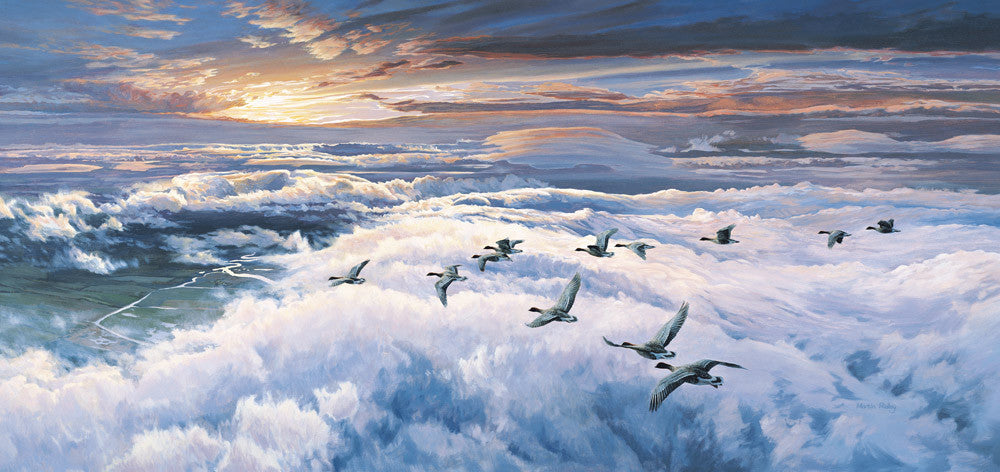 Pink-footed geese migrating picture