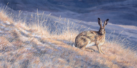 Alert Brown Hare Print