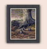 Framed picture of badgers and tree roots