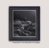 Framed picture of barn owl hunting in moonlight