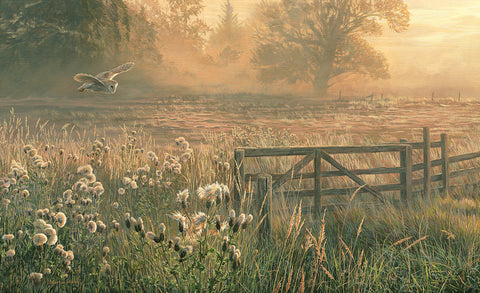 "On Silent Wings" Barn Owl