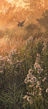 Picture of barn owl over thistles print
