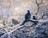 Black grouse roost print