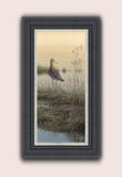 Framed print of black-tailed godwit