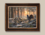 Framed picture of capercaillies in winter sun