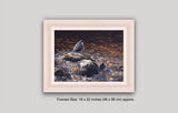 Picture of dipper perched mid stream in white frame