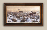 Framed trio of roe deer in snow
