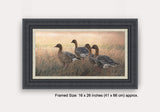 Grey & silver framed picture of pink footed geese on grassland
